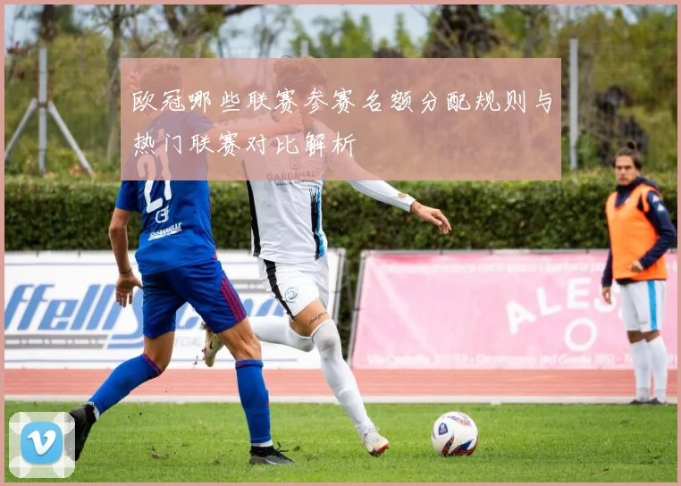 欧冠哪些联赛参赛名额分配规则与热门联赛对比解析